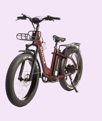 Electric Bikes For Sale