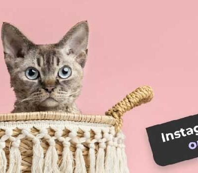 How to Beat the Instagram Algorithm and Reach More Followers in 2025