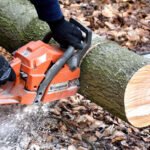 Which Chainsaw Guide Bar is Best for Cutting Hardwood vs. Softwood