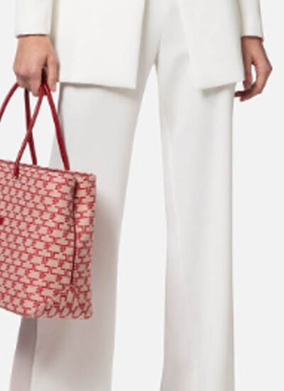 Elisabetta Franchi: An Worldwide Symbol of Extravagance Mold and Her Signature Fashion Borsa Franchi, Elisabetta