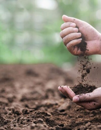 How to Choose the Right Soil and Compost for Every Type of Plant