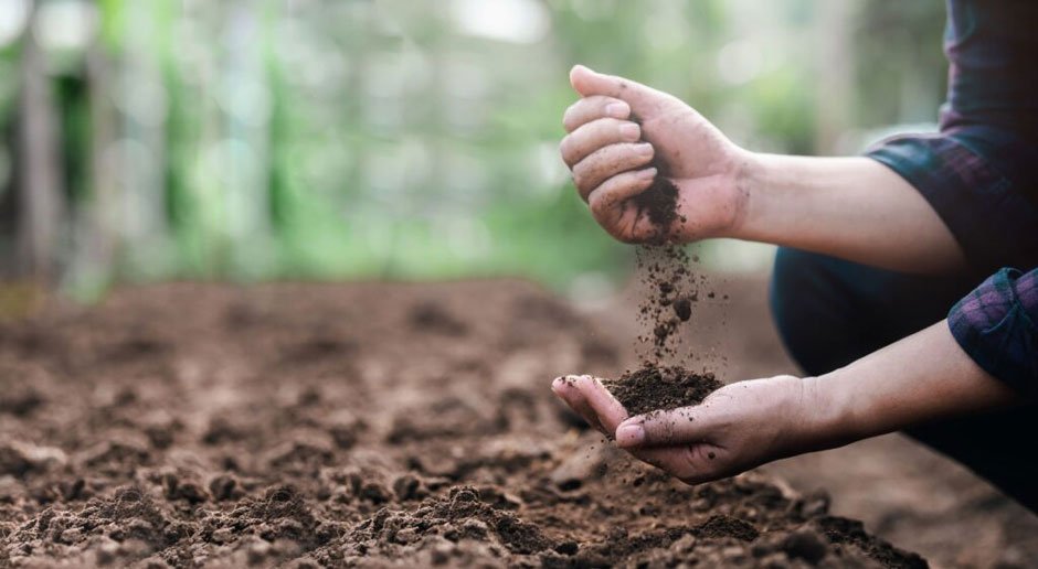 How to Choose the Right Soil and Compost for Every Type of Plant
