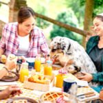 How to Host A Stylish Backyard Picnic Everyone Will Love