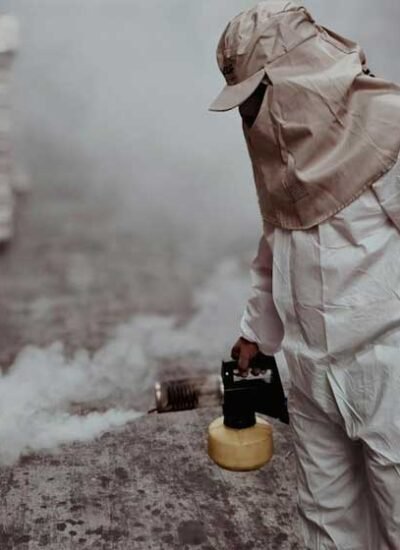 Pests You Should Never DIY—And What Exterminator Services Will Do For You Instead