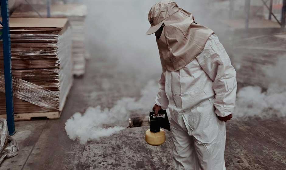 Pests You Should Never DIY—And What Exterminator Services Will Do For You Instead