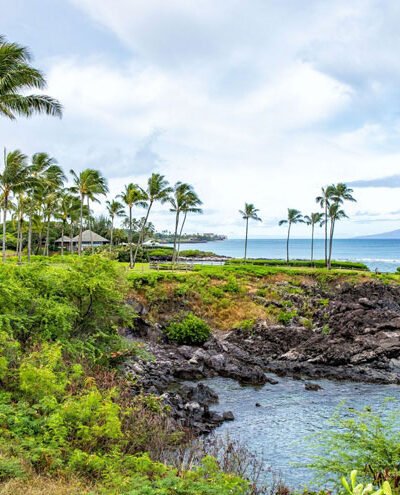 Things to Do in Maui