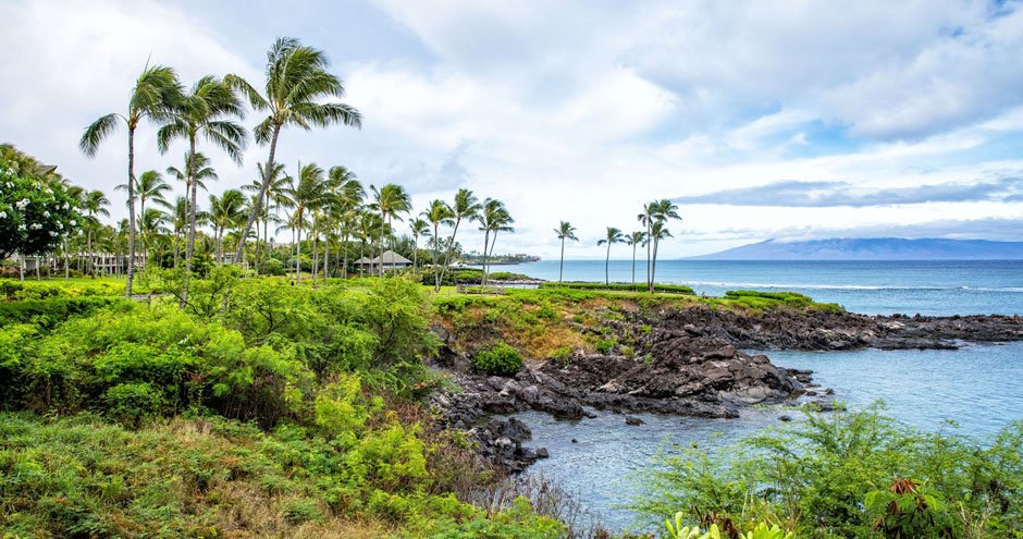 Things to Do in Maui