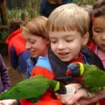 What-Makes-Zoo-Learning-Programs-Stand-Out-for-K-12-Education