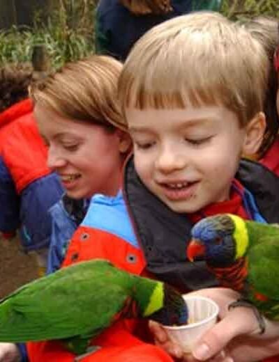 What-Makes-Zoo-Learning-Programs-Stand-Out-for-K-12-Education