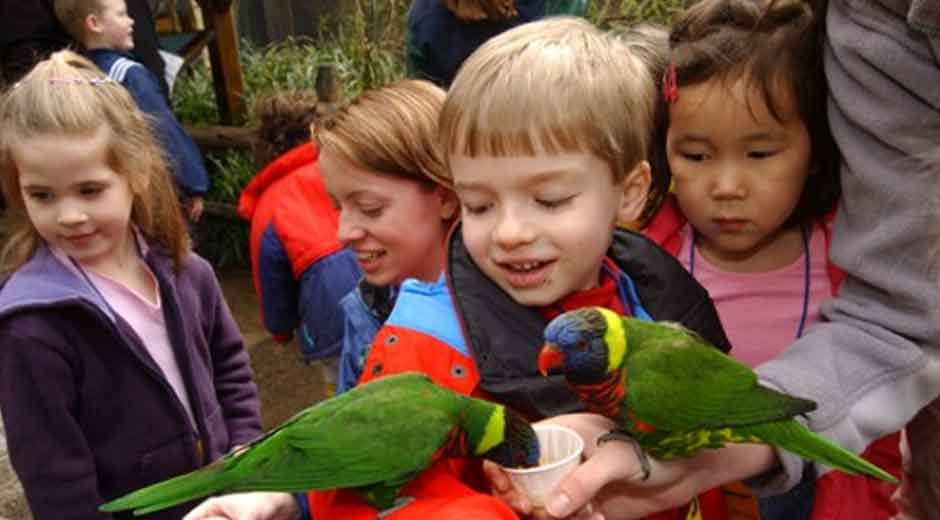 What-Makes-Zoo-Learning-Programs-Stand-Out-for-K-12-Education