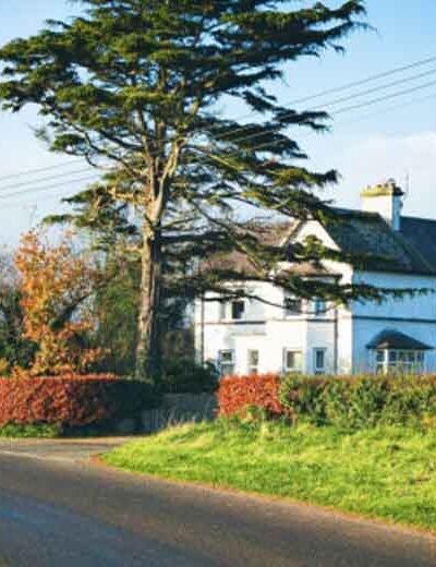 Enhancing Home Value with Professional Asphalt Paving Services