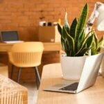 Key advantages of booking your commercial move in advance