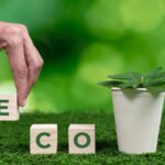 Why Consumers Are Choosing Eco-Friendly Brands