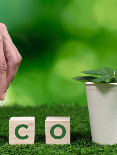 Why Consumers Are Choosing Eco-Friendly Brands