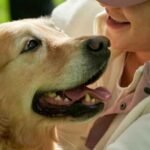 Balancing-Pet-Ownership-and-Self-Care-During-Mental-Health-Recovery