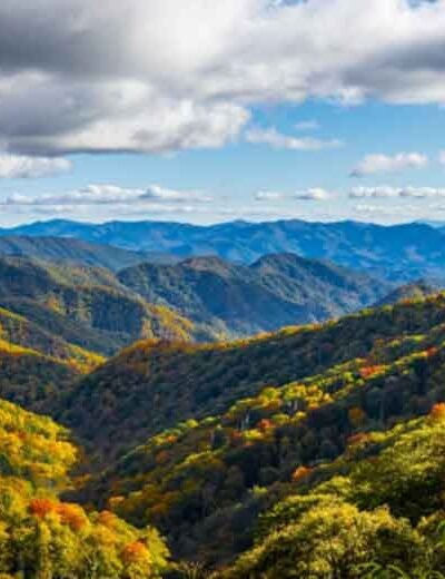 Family Traditions in the Making: Why Pigeon Forge Is the Perfect Annual Vacation Spot
