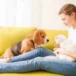 How Pet Owners Should Care About Their Furry Friends Without the Guilt