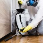 Pest Control for Renters