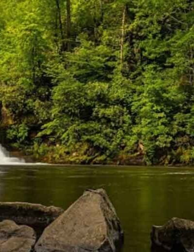 The Great Smoky Mountains for First-Timers: What You Should Know Before You Go