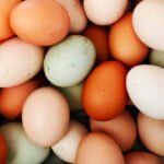 Why More Families Are Choosing Fresh Farm Eggs Over Store-Bought