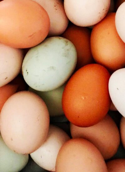Why More Families Are Choosing Fresh Farm Eggs Over Store-Bought