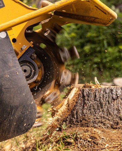 A Step-by-Step Look at Professional Stump Grinding