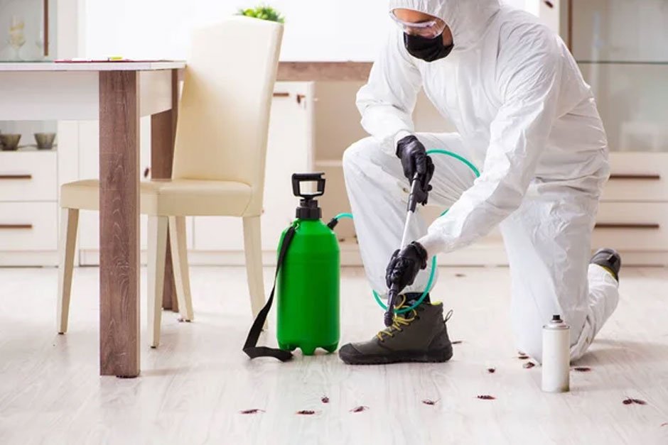 Don’t Wait for an Infestation! Here’s How Often You Really Need Pest Control Services