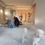 How to Become a Lead Paint Certified Expert