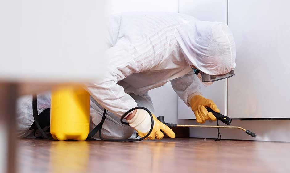 Safe and Smart Pest Solutions for Modern Homes