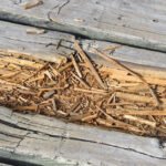 Signs Your Cladding Needs Replacement