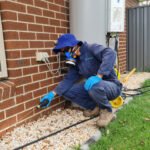 The Benefits of Regular Pest Control Maintenance Plans for Homeowners