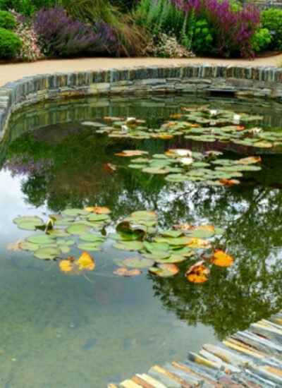 Why Pre-Made Pond Kits Save You Time, Stress, and Regret