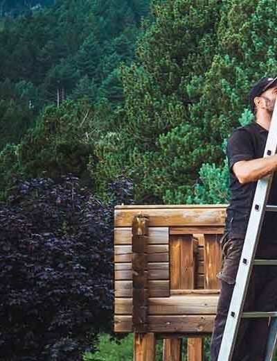 Exploring Necessary Steps in Log Cabin Restoration