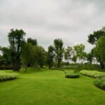 How to Keep Your Garden Looking Fresh and Lush