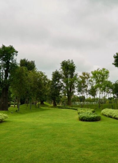 How to Keep Your Garden Looking Fresh and Lush