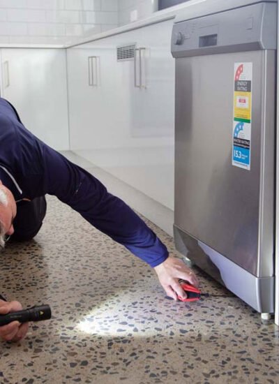 Simple Pest Control Tips to Keep Your Kitchen Clean and Safe