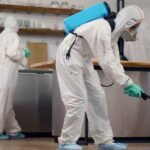 The Silent Threats Lurking Without Proper Pest Control