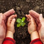 Finding Renewal Close to Home