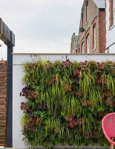 How to Create a Lush Vertical Garden at Home