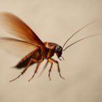 Flying Roach Facts: Understanding, Identifying, and Controlling These Airborne Pests