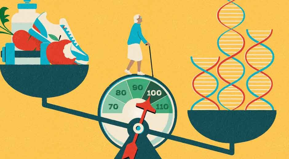 Choosing Quality and Longevity