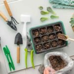 From-Seeds-to-Success-A-Beginner’s-Guide-to-Gardening
