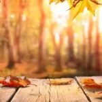 Creating Lasting Memories Through Nature