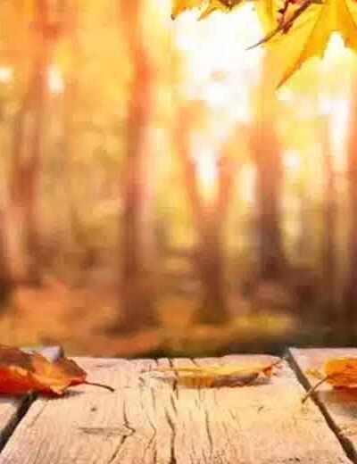 Creating Lasting Memories Through Nature