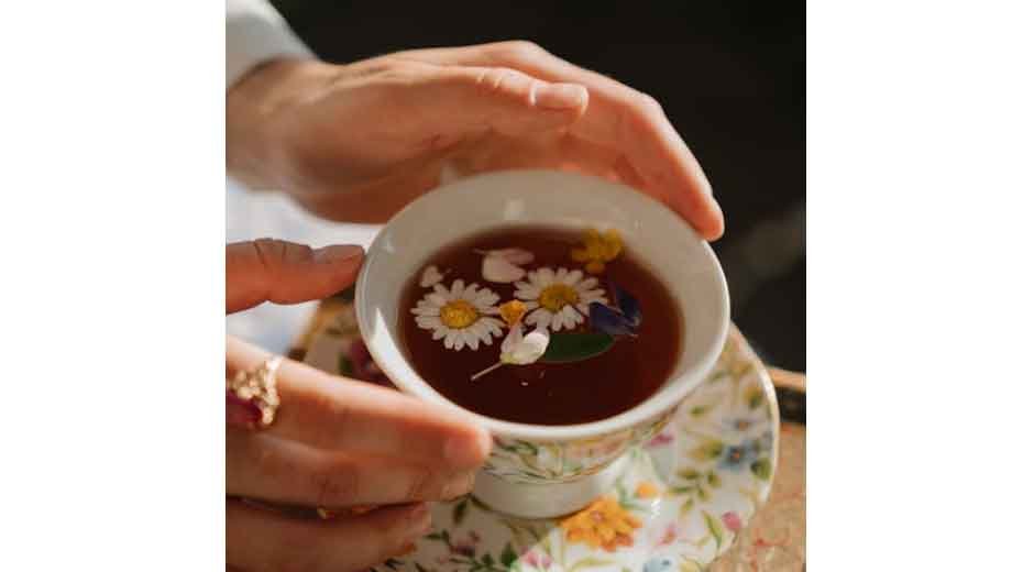 Health Benefits of Loose Leaf Tea: Antioxidants, Metabolism, Relaxation & More