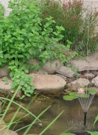 How Solar Fountain Pumps Bring Life, Movement, and Sustainability to Outdoor Spaces