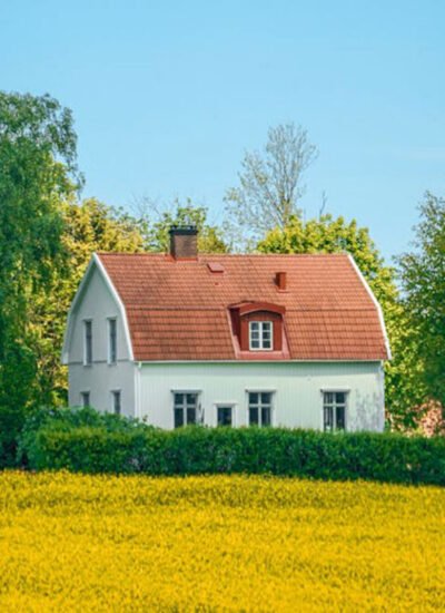 Renovating Your House