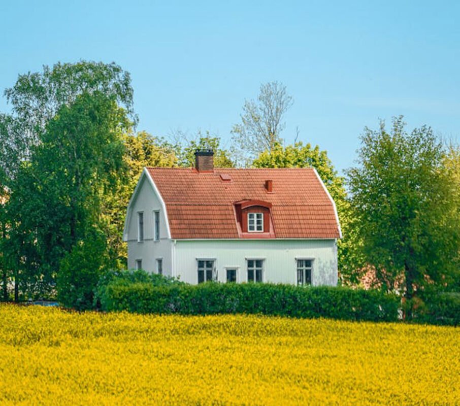 Renovating Your House