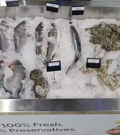 premium-cuts-and-ocean-fresh-delights-daily-1