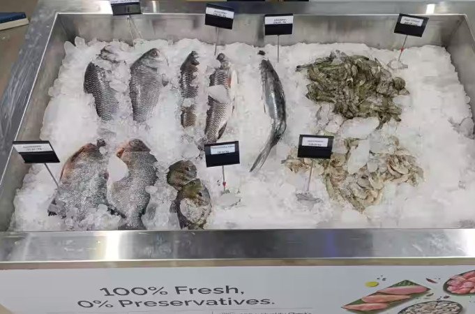 premium-cuts-and-ocean-fresh-delights-daily-1